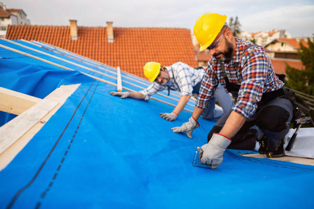 Roof Installation Near Me in Hamilton, GA