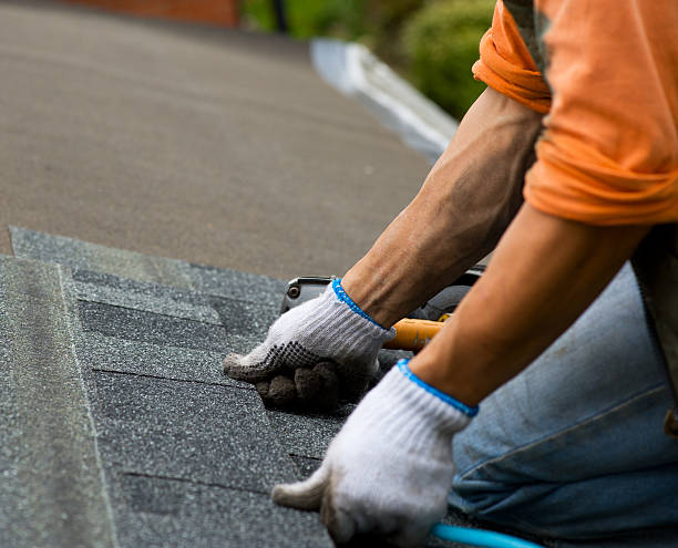 Roof Gutter Cleaning in Hamilton, GA