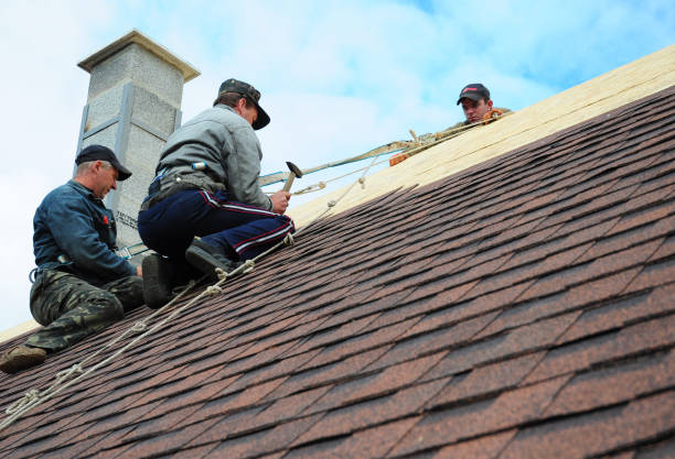 Best Roof Gutter Cleaning  in Hamilton, GA