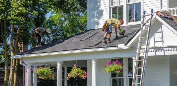 Professional Roofing Contractor in Hamilton, GA