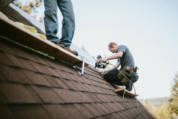 Best Residential Roofing Contractor  in Hamilton, GA